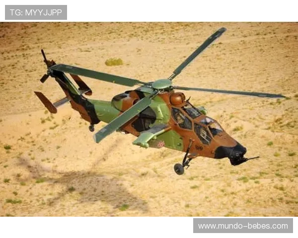 全面解析空中对抗判罚的规则与判定标准